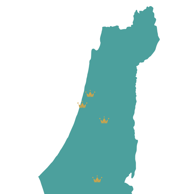 מפת מיקומים של פאלאס מדיקל, תל אביב, רעננה, מודיעין, להבים